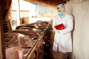 Proizvođačkim organizacijama isplaćen drugi obrok potpore