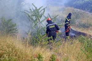 Zaštita šuma i šumskog zemljišta: Vatrogasnim zajednicama za opremu 37,5 milijuna kuna