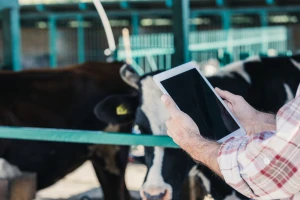Ministarstvo: Korisnicima isplaćeno 5,7 milijardi kuna iz Programa ruralnog razvoja