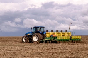 Bayerovim GMO sjemenom će biti posijano 15 posto brazilske soje