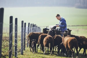 Imate ideju za poljoprivredno-prehrambeni biznis? Predstavite ju na Danima industrije