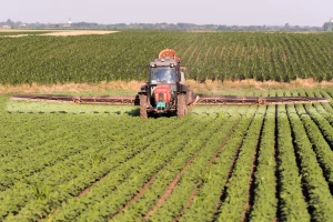 Traži se drastično smanjenje upotrebe kemijskih pesticida