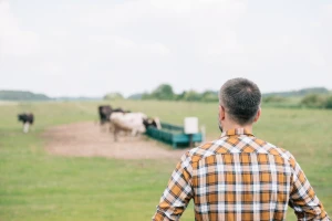 Raspolaganje državnim zemljištem: Nedoumica i nejasnoća puno, a zemlje malo