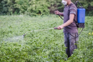 Kako izračunati količinu sredstva potrebnu za tretiranje biljaka?
