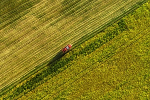 Pomaknuo kamen "međaš" - belgijski farmer izazvao međunarodni incident?