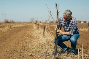Otvoreno 16 javnih poziva za potpore u poljoprivredi i ruralnom razvoju