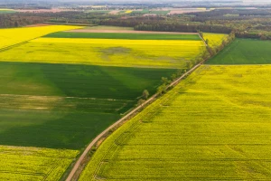 Čak 64 posto globalnog poljoprivrednog zemljišta u riziku zbog zagađenja pesticidima?