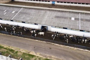 ZPP: Inspekcije farmi obavljat će se bez obzira na Covid i ograničenja koja donosi