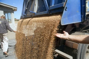 DZS: U godinu dana cijene žitarica porasle za više od 39 posto. A repromaterijala?