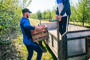 Proizvođačke organizacije jačaju položaj poljoprivrednika u lancu opskrbe hranom