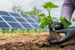 Konferencija Dani obnovljivih izvora energije 2025 u Splitu