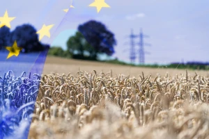 Veto na Fond za oporavak i VFO: Mađarska i Poljska blokirat će 1,8 bilijuna EU sredstava?