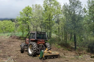 Štete u šumarstvu lani su se povećale za 508 posto