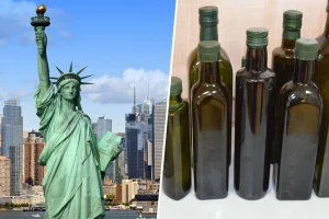 NYIOOC: Rekordnih 110 hrvatskih maslinovih ulja u konkurenciji za najbolje na svijetu