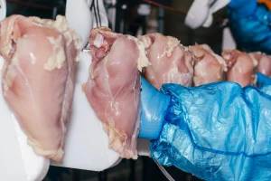 Ukrajinska piletina zaražena salmonelom kriva za 300 infekcija - jedna osoba umrla