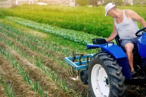 Suzbijanje korova u povrću: Koliko je učinkovito mehaničko, na što paziti kod kemijskog?