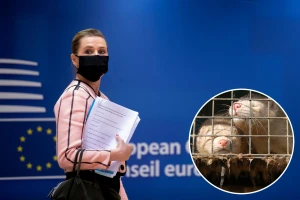 Zbog usmrćenih kuna odstupa danski ministar poljoprivrede, ostavku traže i od premijerke