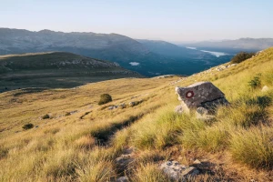 Šest stočara dobilo 30.000 eura za nabavku magaraca i mula, cilj je obnova Dinare