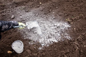 Kada pepeo nije dobar za vrt i kojim biljkama ne odgovara?
