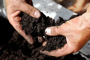 Glavna komponenta humusa je organski ugljik, kako agrotehničke mjere djeluju na njega?