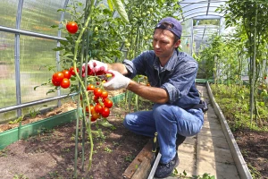 Postani Agrotehničar - novi program koji objedinjuje tri stara, prijave u tijeku!