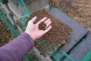 Inspekcija potvrdila: U uginulim pčelama iz Nove Bukovice zabranjeni insekticidi