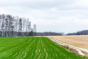 Protekli rujan najtopliji ikad: Kakva nas zima čeka?