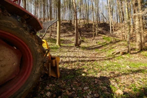 Otuđio hrast za ogrjev na štetu Hrvatskih šuma - slijedi kaznena prijava