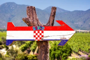 Napravljen je prvi korak u razvoju Nacionalne strategije poljoprivrede, što kaže analiza stanja?