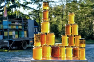 Nema više "Made in EU"? Od ožujka novi sustav označavanja meda