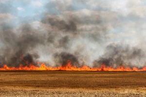 Novi požar zbog kombajna - izgorjelo još tri hektara pšenice