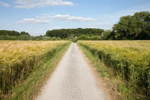 Europska komisija predstavila inicijativu Ruralni pakt - što ona donosi?