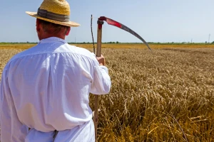 Tradicijski običaji i ove godine na 12. Žetvenim svečanostima u Trnovcu