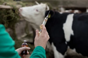 Analizirani ostaci veterinarsko-medicinskih proizvoda u životinjama i hrani