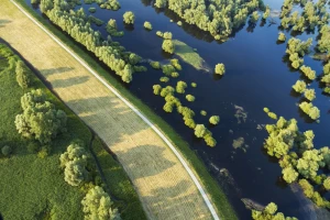 Kemijska zaštita bilja bit će zabranjena u Natura 2000 područjima: Upitna proizvodnja žitarica?