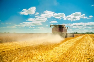 Požar u žetvi: Postavite iskrolovce, nosite S aparat, osigurajte traktor s plugom