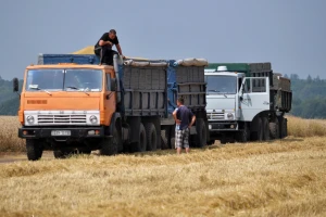 Povećat će se izvoz žitarica iz Ukrajine - SAD i Britanija tvrde da Rusija dezinformira javnost