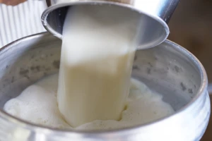 Rastu cijene mlijeka na globalnom tržištu