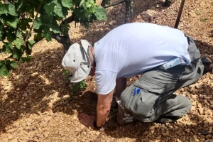 Budućnost poljoprivrednika je na burzama i u prodaji ugljičnog dioksida?