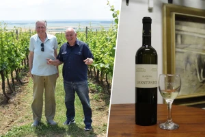 Vinskom turizmu trebaju priredbe, pripovijesti i podučavanja