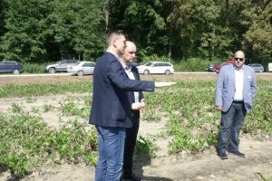 Spojene šećerane donose korist vlasnicima, no što je s proizvođačima šećerne repe?