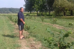 Od iznajmljenih oranica do ekološke proizvodnje oraha
