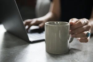 Otvorena e-savjetovanja o Pravilnicima za provedbu operacije 6.4.1. i mjeru 8!