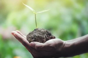 Sudjelujte na 1. Hrvatskim danima biodinamike s temom razvoja eko-bio agrikulture