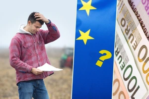Zašto se potpore ne isplaćuju po toni ili kilogramu, već po hektaru?
