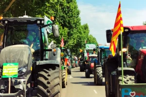 Zašto su španjolski poljoprivrednici opet na ulicama Madrida?