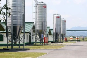 Požar na peradarskoj farmi u Vinici
