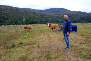 Željko Mihelić: Stočari s krških pašnjaka najveći su gubitnici smanjenja potpora