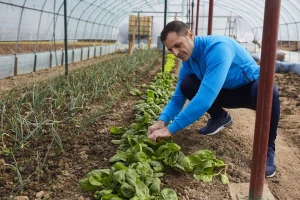 Odaberite jedan od tri povoljna SINERGO paketa za male poduzetnike i obrtnike