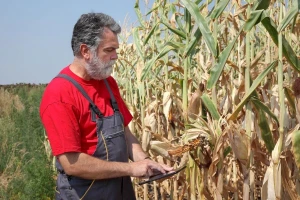 AGRONET informira o pravima na plaćanja